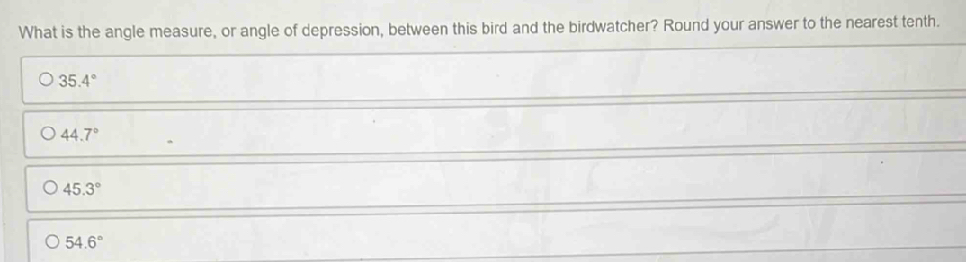 What is the angle measure, or angle of depression, between this bird and the birdwatcher? Round your answer to the nearest tenth.
35.4°
44.7°
45.3°
54.6°