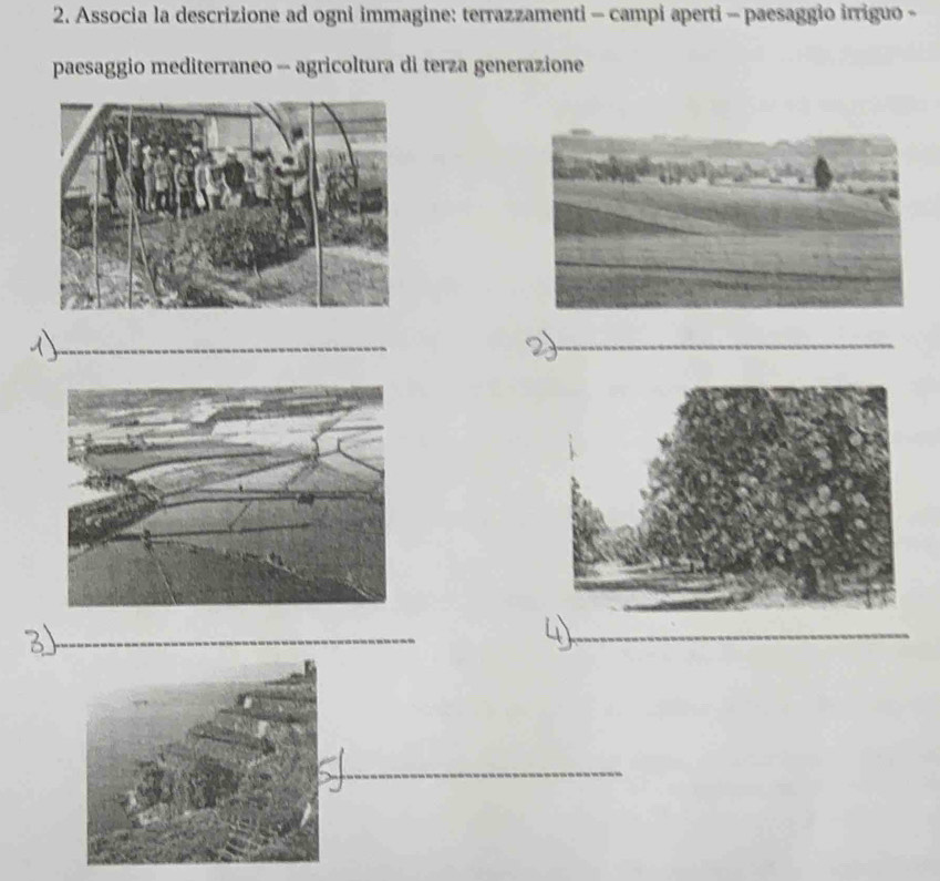 Associa la descrizione ad ogni immagine: terrazzamenti - campi aperti - paesaggio irriguo - 
paesaggio mediterraneo - agricoltura di terza generazione 
_ 
_ 
_ 
_ 
_ 
_ 
_