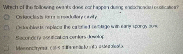 Which of the following events does not happen during endochondral ossification?
Osteoclasts form a medullary cavity.
Osteoblasts replace the calcified cartilage with early spongy bone
Secondary ossification centers develop
Mesenchymal cells differentiate into osteoblasts