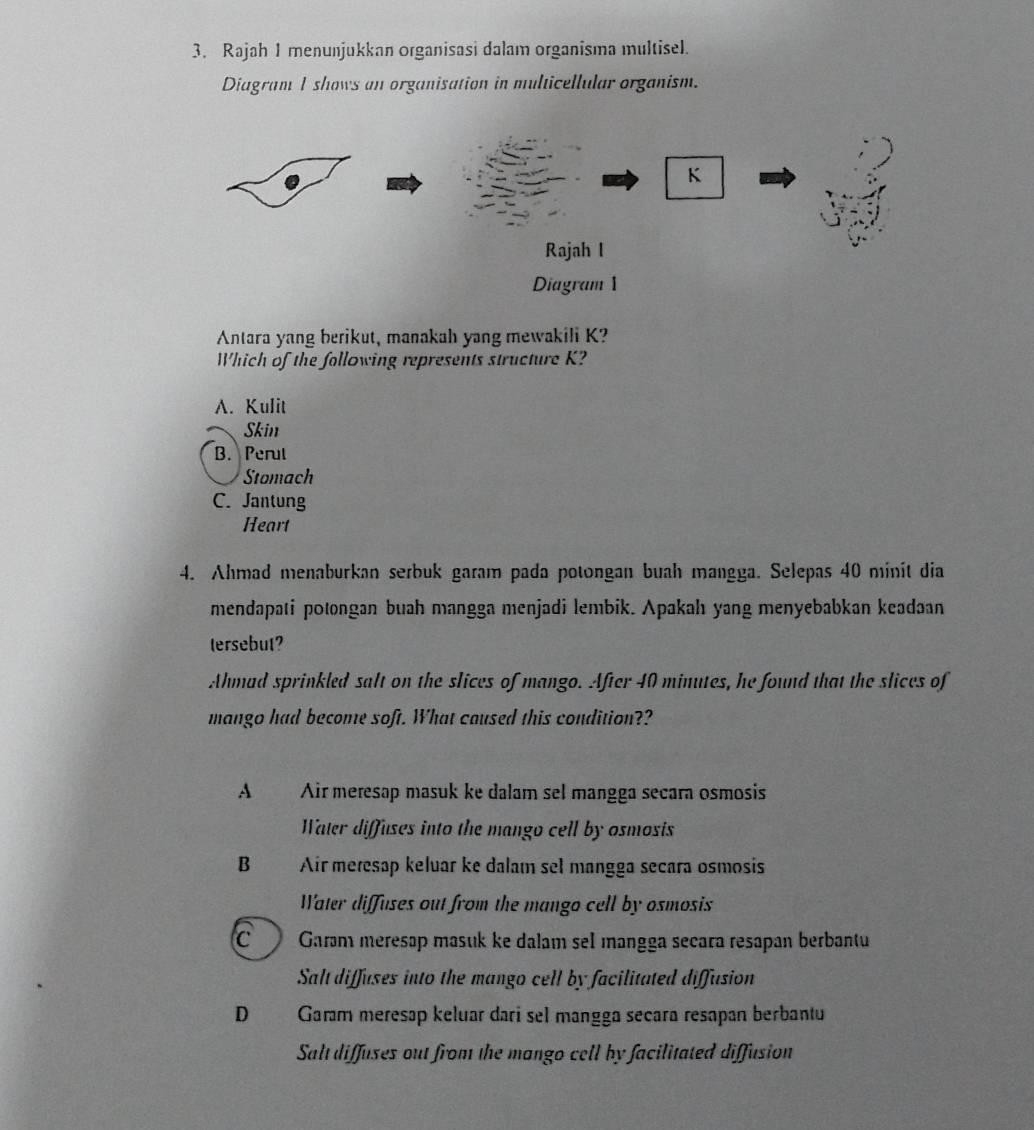 Rajah 1 menunjukkan organisasi dalam organisma multisel.
Diagram 1 shows an organisation in multicellular organism.
K
Rajah I
Diagram 1
Antara yang berikut, manakah yang mewakili K?
Which of the following represents structure K?
A. Kulit
Skin
B. Perul
Stomach
C. Jantung
Heart
4. Ahmad menaburkan serbuk garam pada potongan buah mangga. Selepas 40 minit dia
mendapati potongan buah mangga menjadi lembik. Apakah yang menyebabkan keadaan
tersebut?
Ahmad sprinkled salt on the slices of mango. After 40 minutes, he found that the slices of
mango had become soft. What caused this condition??
A Air meresap masuk ke dalam sel mangga secara osmosis
Water diffuses into the mango cell by osmosis
B Air meresap keluar ke dalam sel mangga secara osmosis
Water diffuses out from the mango cell by osmosis
C Garam meresap masuk ke dalam sel mangga secara resapan berbantu
Salt diffuses into the mango cell by facilitated diffusion
D Garam meresap keluar dari sel mangga secara resapan berbantu
Salt diffuses out from the mango cell by facilitated diffusion