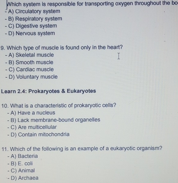 Which system is responsible for transporting oxygen throughout the bo
- A) Circulatory system
- B) Respiratory system
- C) Digestive system
- D) Nervous system
9. Which type of muscle is found only in the heart?
- A) Skeletal muscle
- B) Smooth muscle
- C) Cardiac muscle
- D) Voluntary muscle
Learn 2.4: Prokaryotes & Eukaryotes
10. What is a characteristic of prokaryotic cells?
- A) Have a nucleus
- B) Lack membrane-bound organelles
- C) Are multicellular
- D) Contain mitochondria
11. Which of the following is an example of a eukaryotic organism?
- A) Bacteria
- B) E. coli
- C) Animal
- D) Archaea