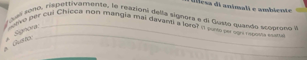 Ullesa di animali e ambiente 
gali sono, rispettivamente, le reazioni della signora e di Gusto quando scoprono in 
_ 
Signora: metive per cui Chicça non mangia mai davanti a loro? (1 punto per ogni risposta esatta) 
a Gusto: