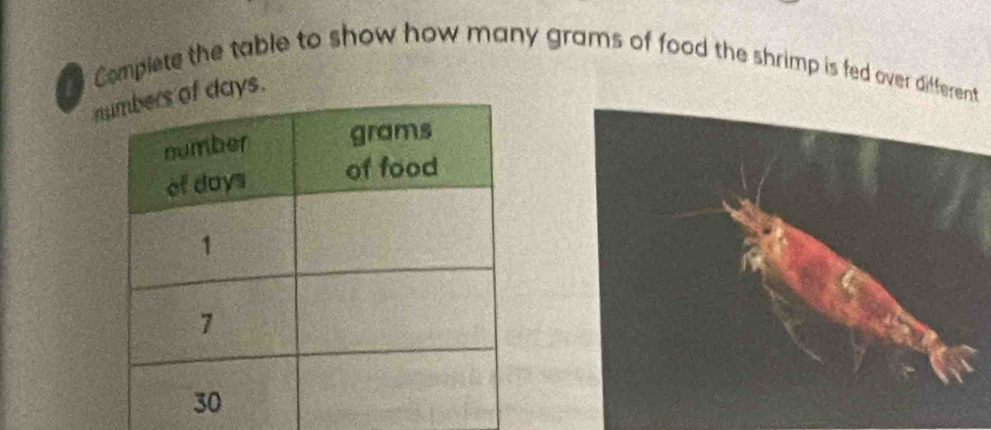 Complete the table to show how many grams of food the shrimp is fed over different 
n days.