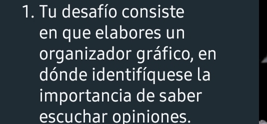 Tu desafío consiste 
en que elabores un 
organizador gráfico, en 
dónde identifíquese la 
importancia de saber 
escuchar opiniones.