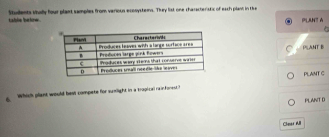 Students study four plant samples from various ecosystems. They list one characteristic of each plant in the 
table below. PLANT A 
C 
PLANT B 
PLANT C 
6. Which plant would best compete for sunlight in a tropical rainforest? 
PLANT D 
Clear All