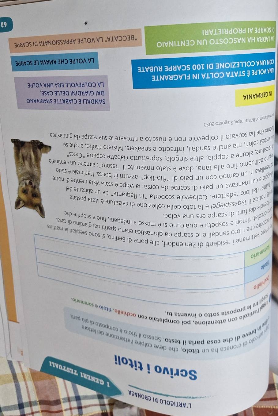 L'ARTICOLO DI CRONACA
I GENERI TESTUALI
Scrivo i titoli
w articolo di cronaca ha un titolo, che deve colpire l'attenzione del lettore
e in breve di che cosa parla il testo. Spesso il titolo è composto di piú parti
gi l'articolo con attenzione, poi completalo con occhiello, títolo e sommario.
_
egli tra le proposte sotto o inventa tu.
_
Acchiello
_
_
Títolo
Sommario
intere settimane i residenti di Zehlendorf, alle porte di Berlino, si sono sveglatí la mattina
w scoprire che i loro sandali e le scarpe da ginnastica erano spariti dal giardino di casa.
no circolati timori e sospetti e qualcuno si è messo a indagare, fino a scoprire che
olpevole dei furti di scarpe era una volpe.
e dá notizia il Tagesspiegel e la foto della collezione di calzature è stata postata
Wwitter dal loro redattore. Colpevole scoperta "in flagrante" da un abitante del
aggio a cui mancava un paío di scarpe da corsa: la volpe è stata vista mentre di notte
otterellava in un campo con un paio di “flip-flop" azzurri in bocca. L'animale è stato
eguito dallíuomo fino alla tana, dove è stato rinvenuto il "tesoro": almeno un centinaio
d calzature, alcune a coppia, altre singole, soprattutto ciabatte coperte“Crocs”
ai vistosi colori, ma anche sandali, infradito e sneakers. Mistero risolto, anche se
womo che ha scovato il colpevole non è riuscito a ritrovare le sue scarpe da ginnastica.
) www.lastampa.it/la zampa, 2 agosto 2020
SANDALI E CIABATTE SPARIVANO
IN GERMANIA
DAI GIARDINI DELLE CASE,
LA COLPEVOLE ERA UNA VOLPE
UNA VOLPE È STATA COLTA IN FLAGRANTE
CON UNA COLLEZIONE DI 100 SCARPE RUBATE
LA VOLPE CHE AMAVA LE SCARPE
LALADRA HA NASCOSTO UN CENTINAIO “BECCATA” LA VOLPE APPASSIONATA DI SCARPE
DI SCARPE AI PROPRIETARI
63