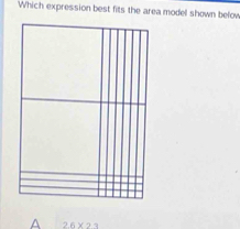 Which expression best fits the area model shown belov
26* 23