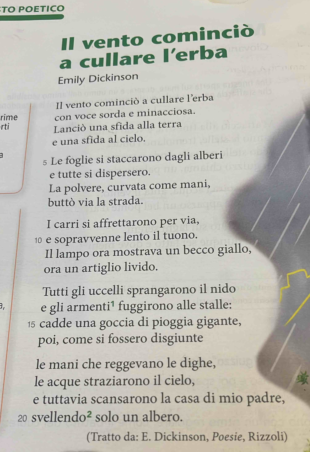 TO POETICO 
vento cominciò 
a cullare □ erba 
Emily Dickinson 
Il vento cominciò a cullare l’erba 
rime con voce sorda e minacciosa. 
rti 
Lanciò una sfida alla terra 
e una sfida al cielo. 
a 
5 Le foglie si staccarono dagli alberi 
e tutte si dispersero. 
La polvere, curvata come mani, 
buttò via la strada. 
I carri si affrettarono per via, 
10 e sopravvenne lento il tuono. 
Il lampo ora mostrava un becco giallo, 
ora un artiglio livido. 
Tutti gli uccelli sprangarono il nido 
a , e gli armenti¹ fuggirono alle stalle: 
15 cadde una goccia di pioggia gigante, 
poi, come si fossero disgiunte 
le mani che reggevano le dighe, 
le acque straziarono il cielo, 
e tuttavia scansarono la casa di mio padre, 
20 svellendo² solo un albero. 
(Tratto da: E. Dickinson, Poesie, Rizzoli)