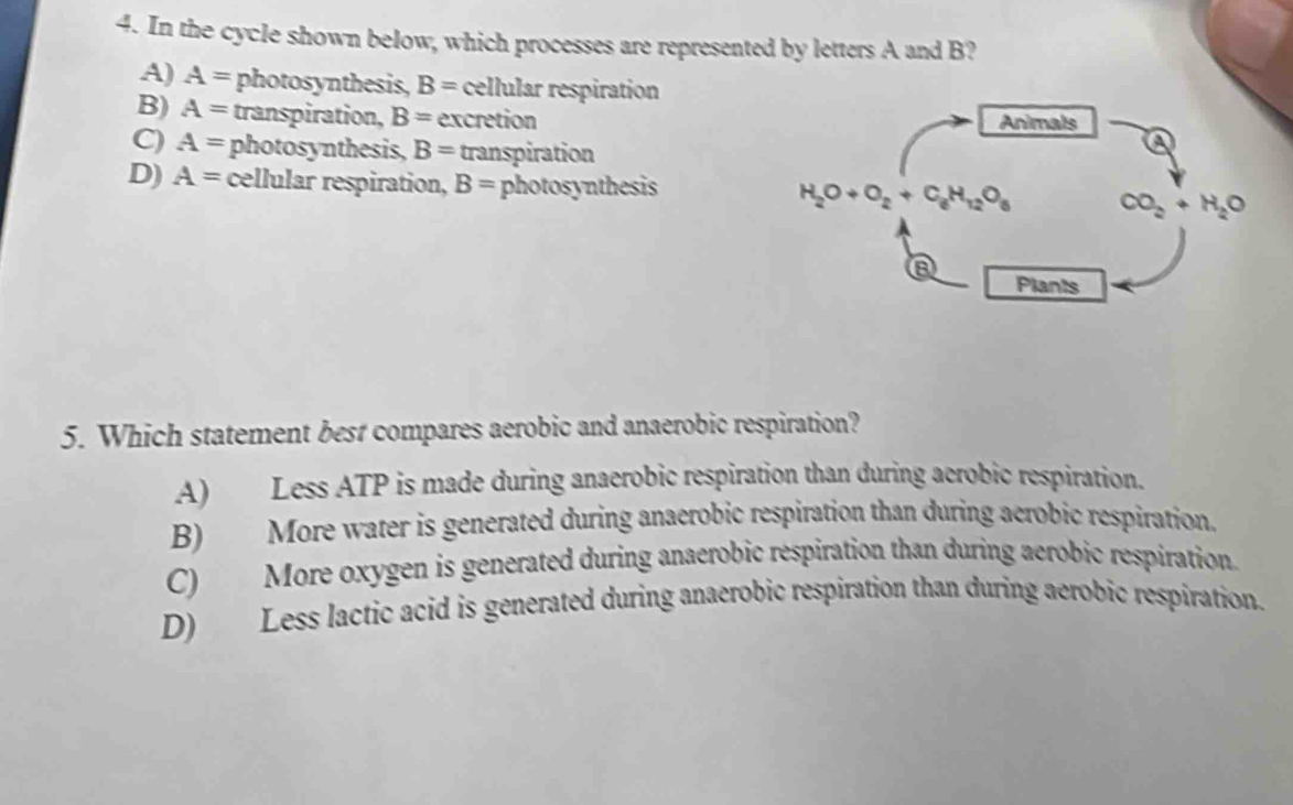 In the cycle shown below, which processes are represented by letters A and B?
A) A= photosynthesis, B= cellular respiration
B) A= transpiration, B= excretion Animals
C) A= photosynthesis, B= transpiration
D) A= cellular respiration, B= photosynthesis
H_2O+O_2+C_6H_12O_6 CO_2+H_2O
a
Plants
5. Which statement best compares aerobic and anaerobic respiration?
A) Less ATP is made during anaerobic respiration than during acrobic respiration.
B) More water is generated during anaerobic respiration than during aerobic respiration.
C) More oxygen is generated during anaerobic respiration than during aerobic respiration.
D) Less lactic acid is generated during anaerobic respiration than during aerobic respiration.