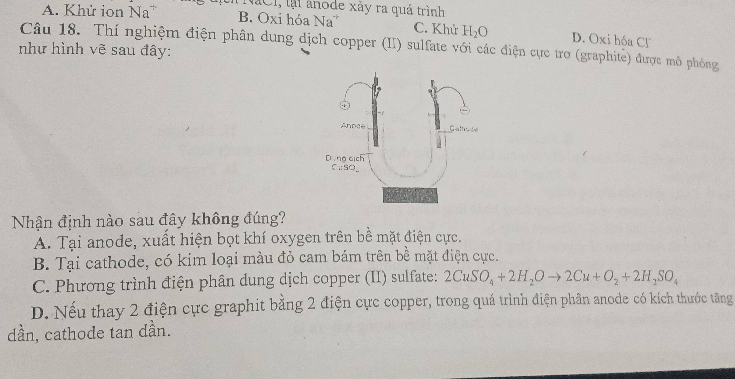 địth NaCI, lại anode xáy ra quá trình
A. Khử ion Na* B. Oxi hóa Na^+ C. Khử H_2O D. Oxi hóa Cl
Câu 18. Thí nghiệm điện phân dung dịch copper (II) sulfate với các điện cực trơ (graphite) được mô phỏng
như hình vẽ sau đây:
Nhận định nào sau đây không đúng?
A. Tại anode, xuất hiện bọt khí oxygen trên bề mặt điện cực.
B. Tại cathode, có kim loại màu đỏ cam bám trên bề mặt điện cực.
C. Phương trình điện phân dung dịch copper (II) sulfate: 2CuSO_4+2H_2Oto 2Cu+O_2+2H_2SO_4
D. Nếu thay 2 điện cực graphit bằng 2 điện cực copper, trong quá trình điện phân anode có kích thước tăng
dần, cathode tan dần.