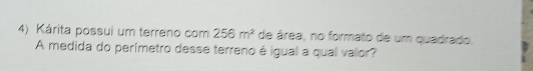 Kárita possui um terreno com 256m^2 de área, no formato de um quadrado. 
A medida do perímetro desse terreno é igual a qual valor?