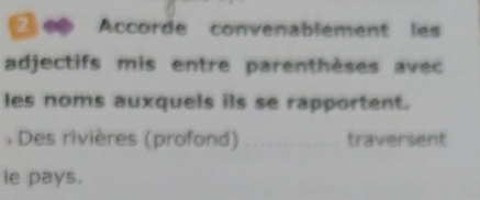 Accorde convenablement les 
adjectifs mis entre parenthèses avec 
les noms auxquels ils se rapportent. 
: Des rivières (profond) traversent 
le pays.