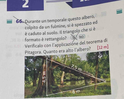 2
66. Durante un temporale questo albero,
colpito da un fulmine, si è spezzato ed
è caduto al suolo. Il triangolo che si è
formato è rettangolo? a S NO
Verificalo con l’applicazione del teorema di
[ 12 m ]
a