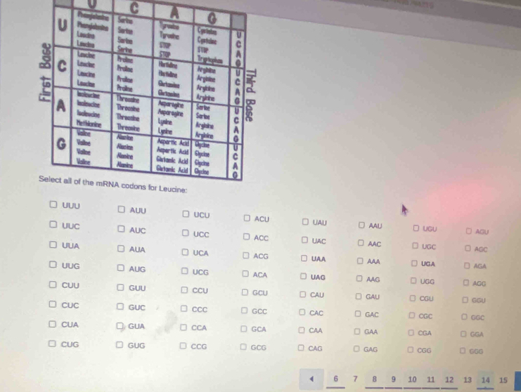 UUU AUU UCU ACU AAL 
UAL AGU 
UGU 
UUC AUC UCC ACC UAC AAC 
UUA AUA UCA UAA AAA UGA AGC 
ACG UGC 
AGA 
UUG AUG UCG ACA UAG AAG UGG 
AGG 
CUU GUU CCU GCU CAU GAU CGU GGU 
CUC GUC CCC GCC CAC GAC CGC GGC 
CUA GUA CCA GCA CAA GAA CGA GGA 
CUG GUG CCG GCG CAG GAG CGG 666
6 7 8 9 10 11 12 13 14 15