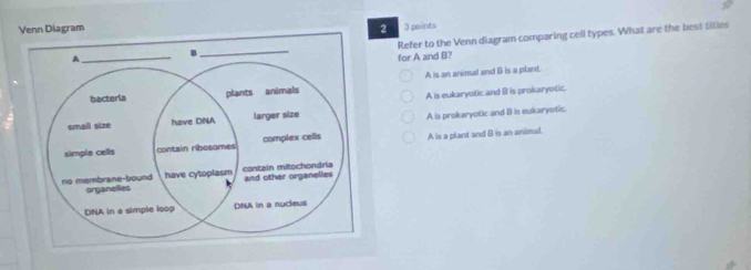 Venn Diagram 2 3 points
Refer to the Venn diagram comparing cell types. What are the best titles
for A and B?
A is an animal and B is a plant.
A is eukaryotic and B is prokaryotic.
A is prokaryotic and B is eukaryotic.
A is a plant and B is an animal.