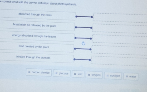 correct word with the correct definition about photosynthesis.
absorbed through the roots
breathable air released by the plant
energy absorbed through the leaves
food created by the plant
inhaled through the stomata
# carbon dioxide glucose : leaf # oxygen # sunlight I water