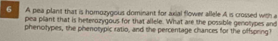 A pea plant that is homozygous dominant for axial flower allele A is crossed with a 
pea plant that is heterozygous for that allele. What are the possible genotypes and 
phenotypes, the phenotypic ratio, and the percentage chances for the offspring?