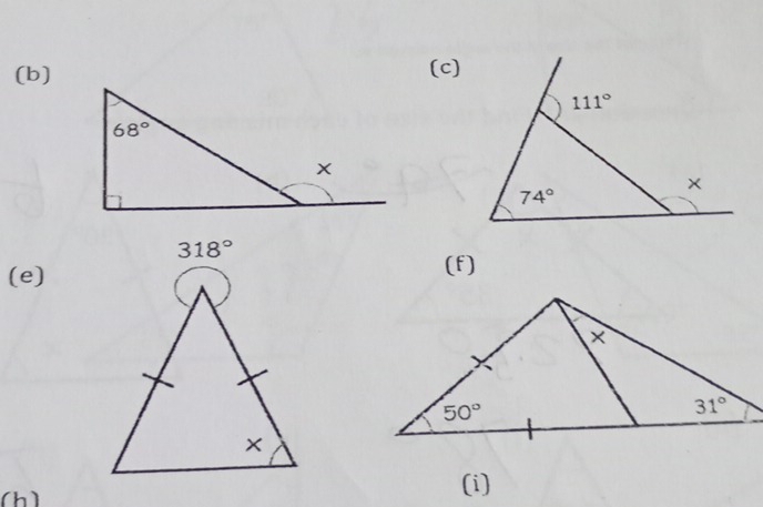 318°
(e)
(f)
(h)
(i)