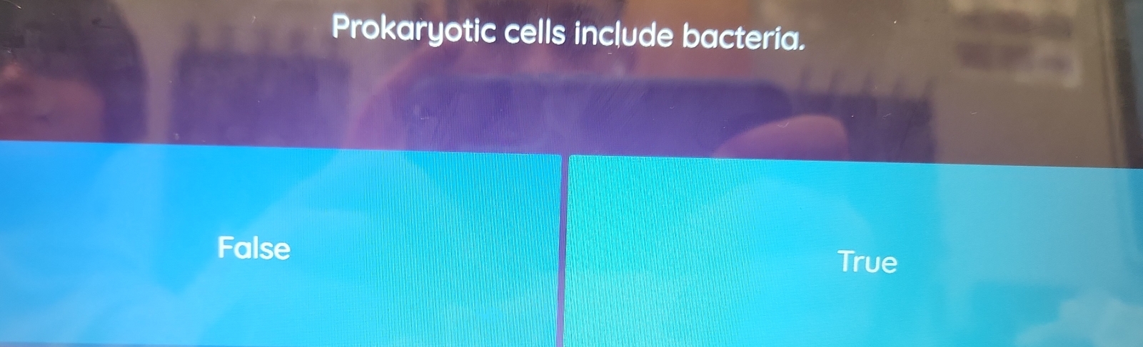 Prokaryotic cells include bacteria.
False
True