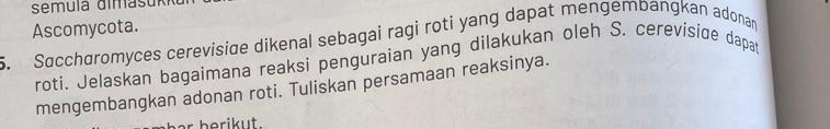 Ascomycota. 
. Socchoromyces cerevisiæe dikenal sebagai ragi roti yang dapat mengembangkan adonan 
roti. Jelaskan bagaimana reaksi penguraian yang dilakukan oleh S. cerevisiæe dapa 
mengembangkan adonan roti. Tuliskan persamaan reaksinya. 
berikut