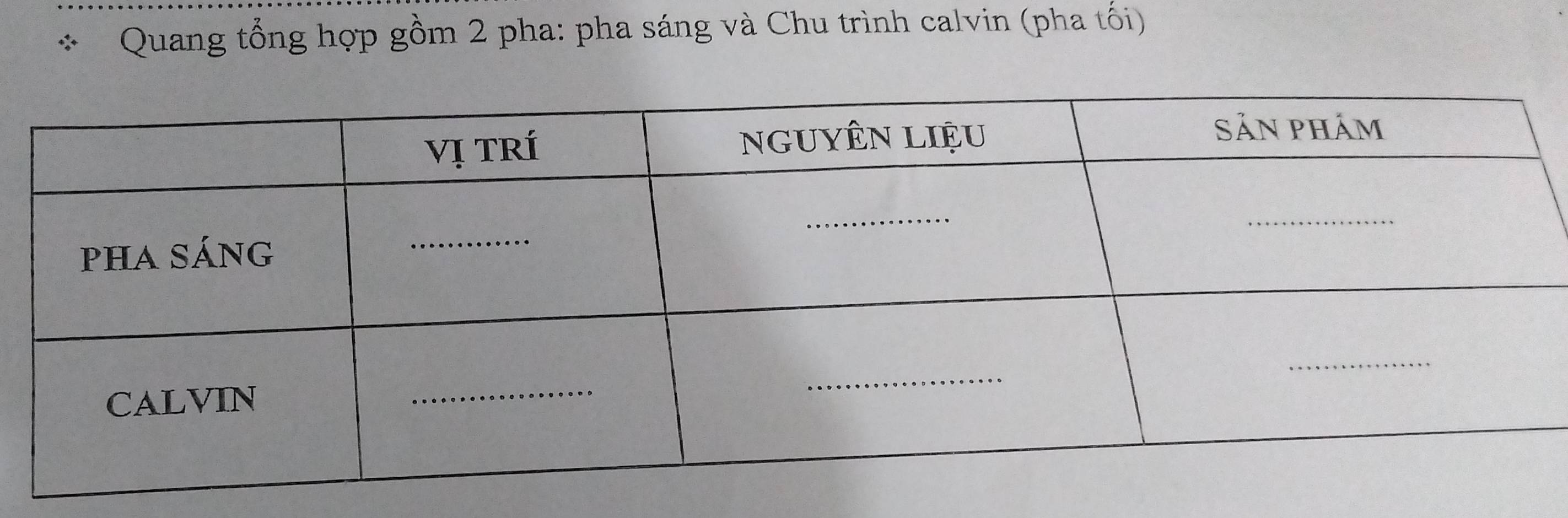 Quang tổng hợp gồm 2 pha: pha sáng và Chu trình calvin (pha tối)