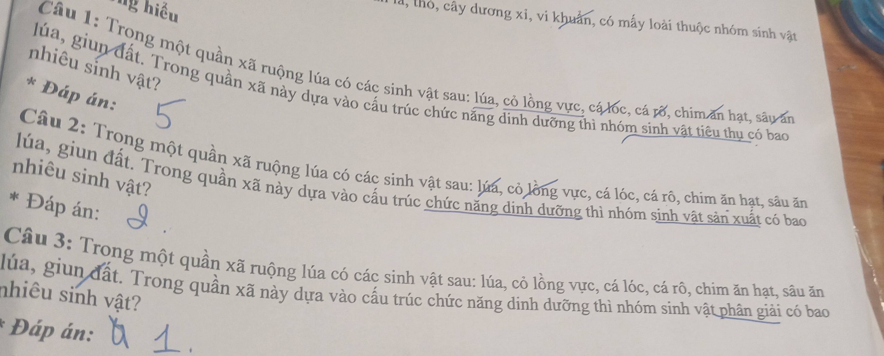 hiệu 
â, thỏ, cây dương xỉ, vi khuẩn, có mấy loài thuộc nhóm sinh vật 
nhiêu sinh vật? 
Câu 1: Trong một quần xã ruộng lúa có các sinh vật sau: lúa, cỏ lồng vực, cá lốc, cá rờ, chim ăn hạt, sâu ấn 
Júa, giun đất. Trong quần xã này dựa vào cấu trúc chức năng dinh dưỡng thì nhóm sinh vật tiêu thu có bao 
* Đáp án: 
Câu 2: Trong một quần xã ruộng lúa có các sinh vật sau: lúa, cỏ lồng vực, cá lóc, cá rô, chim ăn hạt, sâu ăn 
nhiêu sinh vật? 
lúa, giun đất. Trong quần xã này dựa vào cấu trúc chức năng dinh dưỡng thì nhóm sinh vật sản xuất có bao 
* Đáp án: 
Câu 3: Trong một quần xã ruộng lúa có các sinh vật sau: lúa, cỏ lồng vực, cá lóc, cá rô, chim ăn hạt, sâu ăn 
lúa, giun đất. Trong quần xã này dựa vào cấu trúc chức năng dinh dưỡng thì nhóm sinh vật phân giải có bao 
nhiêu sinh vật? 
Đáp án: