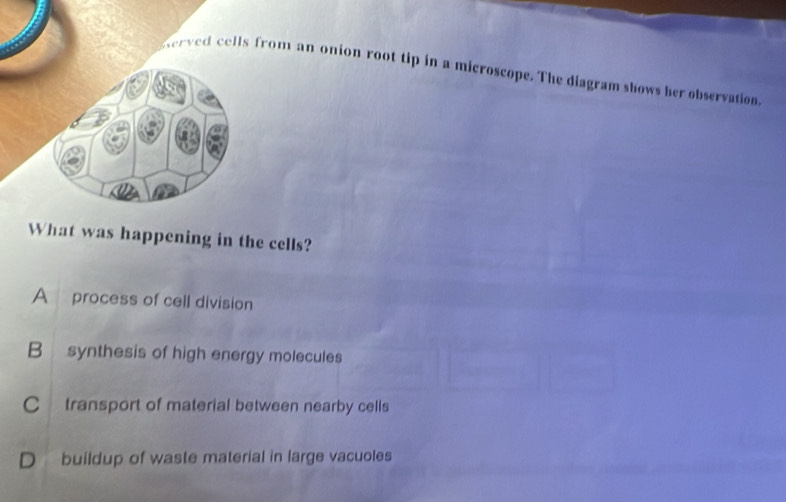 erved cells from an onion root tip in a microscope. The diagram shows her observation
What was happening in the cells?
A process of cell division
B synthesis of high energy molecules
C transport of material between nearby cells
D buildup of waste material in large vacuoles