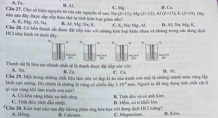 A. Fe. B. Al. C. Mg. D. Cu.
Câu 27. Cho số hiệu nguyên tử của các nguyên tố sau: Na(Z=11); Mg(Z=12); Al(Z=13); K(Z=19). Dãy
nào sau đây được sắp xếp theo thứ tự tính kim loại giảm dần?
A. K; Mg; Al; Na. B. Al; Mg; Na; K. C. K; Na; Mg; Al. D. Al; Na; Mg; K.
Câu 28. Có bốn thanh sắt được đặt tiếp xúc với những kim loại khác nhau và nhúng trong các dung dịch
HCl như hình vẽ dưới đây:
Fe M Fe Cu
dang dach HCl dung dịc h HCl
Thanh sắt bị hòa tan nhanh nhất sẽ là thanh được đặt tiếp xúc với:
A. Sn. B. Zn. C. Cu. D. Ni.
Câu 29. Một trong những chất liệu làm nên vẻ đẹp kì ảo của tranh sơn mài là những mảnh màu vàng lấp
lánh cực mỏng. Đó chính là những lá vàng có chiều dày 1.10^(-4) mm. Người ta đã ứng dụng tính chất vật lí
gì của vàng khi làm tranh sơn mài?
A. Có khả năng khúc xạ ánh sáng. B. Tính dẻo và có ánh kim.
C. Tính dẻo, tính dẫn nhiệt. D. Mềm, có tỉ khổi lớn.
Câu 30. Kim loại nào sau đây không phản ứng hóa học với dung dịch HCl loãng?
A. Đồng. B. Calcium. C. Magnesium. D. Kẽm.