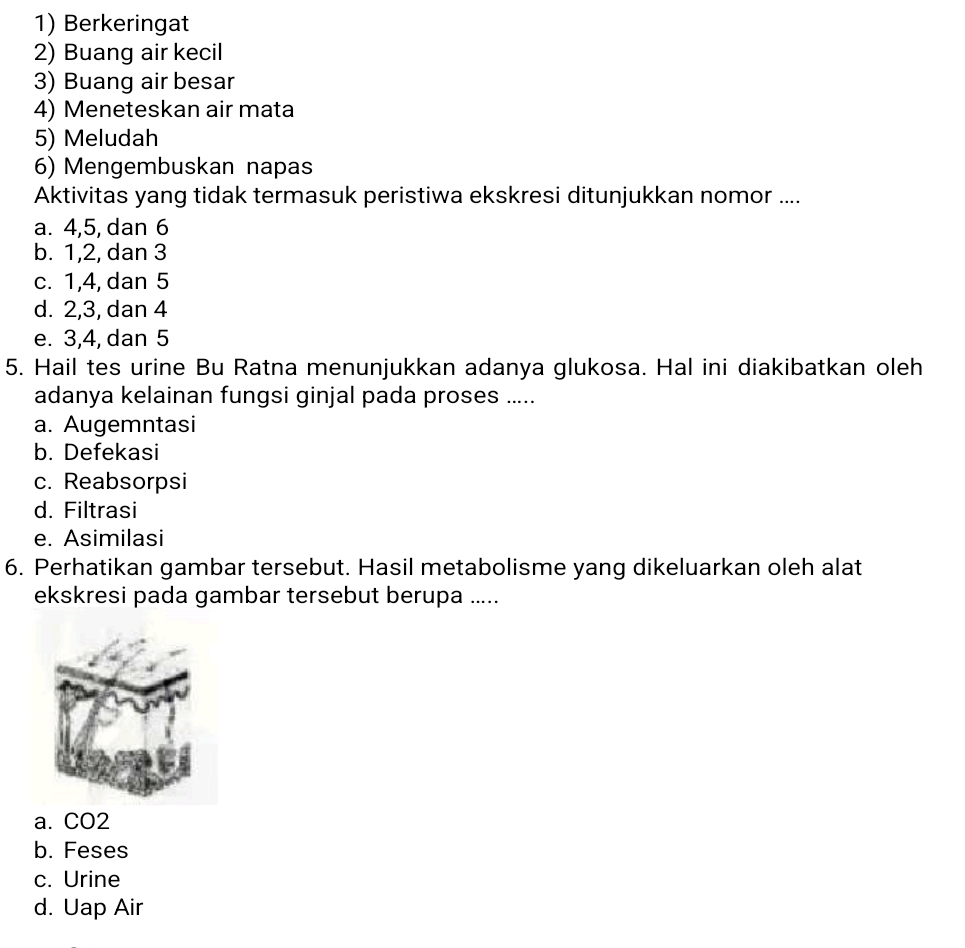 1) Berkeringat
2) Buang air kecil
3) Buang air besar
4) Meneteskan air mata
5) Meludah
6) Mengembuskan napas
Aktivitas yang tidak termasuk peristiwa ekskresi ditunjukkan nomor ....
a. 4, 5, dan 6
b. 1, 2, dan 3
c. 1, 4, dan 5
d. 2, 3, dan 4
e. 3, 4, dan 5
5. Hail tes urine Bu Ratna menunjukkan adanya glukosa. Hal ini diakibatkan oleh
adanya kelainan fungsi ginjal pada proses .....
a. Augemntasi
b. Defekasi
c. Reabsorpsi
d. Filtrasi
e. Asimilasi
6. Perhatikan gambar tersebut. Hasil metabolisme yang dikeluarkan oleh alat
ekskresi pada gambar tersebut berupa .....
a. CO2
b. Feses
c. Urine
d. Uap Air