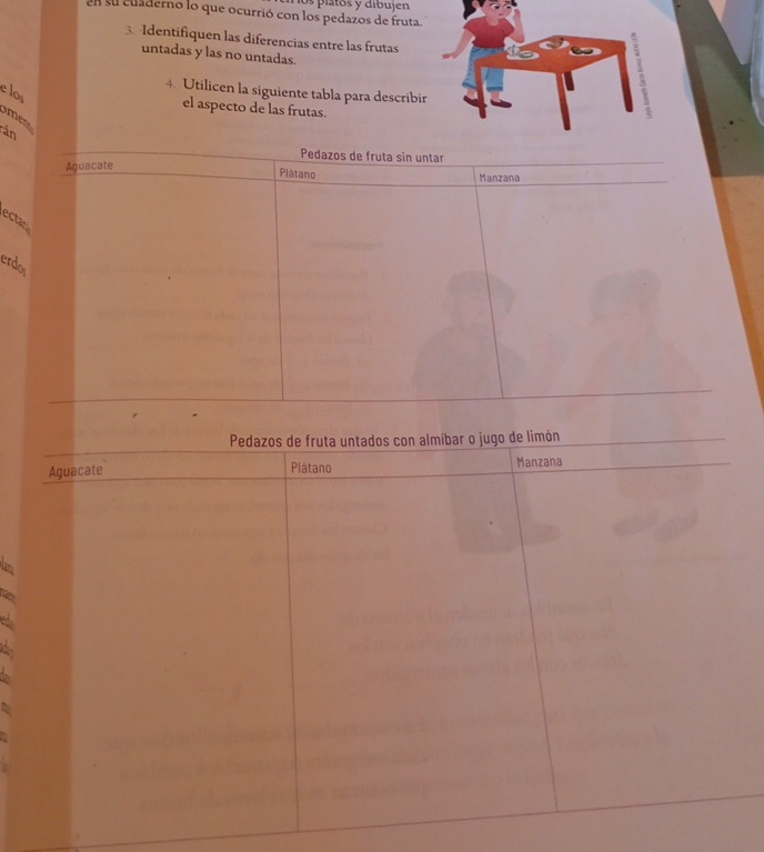 en su cuaderno lo que ocurrió con los pedazos de fruta. os platos y díbujen 
3. Identifiquen las diferencias entre las frutas 
untadas y las no untadas. 
4. Utilicen la siguiente tabla para describi 
e los 
el aspecto de las frutas. 
men 
rán 
Pedazos de fruta sin untar 
Aguacate Plátano Manzana 
ectan 
erdo 
lana 
EC 
a