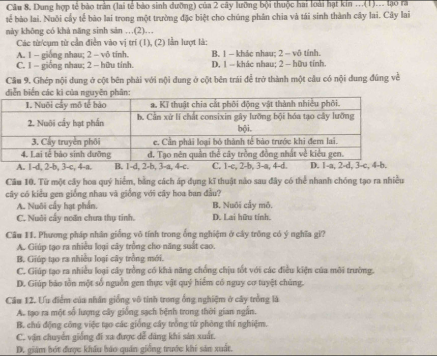 Dung hợp tế bào trần (lai tế bào sinh dưỡng) của 2 cây lưỡng bội thuộc hai loài hạt kin ...(1)... tạo ra
tế bào lai. Nuôi cấy tế bào lai trong một trường đặc biệt cho chúng phân chia và tái sinh thành cây lai. Cây lai
này không có khả năng sinh sản …(2)…
Các từ/cụm từ cần điền vào vị trí (1), (2) lần lượt là:
A. 1 - giống nhau; 2 - vô tính. B. 1 - khác nhau; 2 - vô tính.
C. 1 - giống nhau; 2 - hữu tính. D. 1 - khác nhau; 2 - hữu tính.
Câu 9. Ghép nội dung ở cột bên phải với nội dung ở cột bên trái đề trở thành một câu có nội dung đúng về
A. 1-d, 2-b, 3-c, 4-a. B. 1-d, 2-b, 3-a, 4-c. C. 1-c, 2-b, 3-a, 4-d. D. 1-a, 2-d, 3-c, 4-b.
Câu 10. Từ một cây hoa quý hiểm, bằng cách áp dụng kĩ thuật nào sau đây có thể nhanh chóng tạo ra nhiều
cây có kiểu gen giống nhau và giống với cây hoa ban đầu?
A. Nuôi cấy hạt phẩn. B. Nuôi cấy mô.
C. Nuôi cấy noãn chưa thụ tinh. D. Lai hữu tính.
Câu 11. Phương pháp nhân giống vô tính trong ống nghiệm ở cây trông có ý nghĩa gì?
A. Giúp tạo ra nhiều loại cây trồng cho năng suất cao.
B. Giúp tạo ra nhiều loại cây trồng mới.
C. Giúp tạo ra nhiều loại cây trồng có khả năng chống chịu tốt với các điều kiện của môi trường.
D. Giúp bảo tồn một số nguồn gen thực vật quý hiểm có nguy cơ tuyệt chủng.
Cầu 12. Ưu điểm của nhân giống vô tính trong ống nghiệm ở cây trồng là
A. tạo ra một số lượng cây giống sạch bệnh trong thời gian ngắn.
B. chú động cổng việc tạo các giống cây trồng từ phòng thí nghiệm.
C. vận chuyển giống đi xa được dễ dàng khi sản xuất.
D. giám bốt được khẩu bảo quản giống trước khí sản xuất.