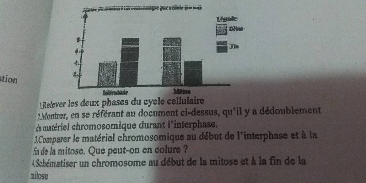 stion 
|.Relever les deux phases du cycle cellulaire 
2.Montrer, en se référant au document ci-dessus, qu'il y a dédoublement 
du matériel chromosomique durant l'interphase. 
3.Comparer le matériel chromosomique au début de l'interphase et à la 
fin de la mitose. Que peut-on en colure ? 
4.Schématiser un chromosome au début de la mitose et à la fin de la 
mitose