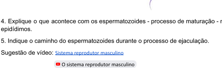 Explique o que acontece com os espermatozoides - processo de maturação - r 
epidídimos. 
5. Indique o caminho do espermatozoides durante o processo de ejaculação. 
Sugestão de vídeo: Sistema reprodutor masculino 
O sistema reprodutor masculino