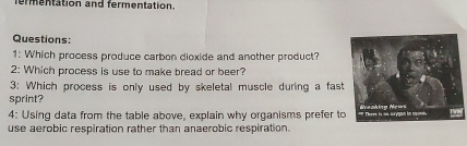 ermentation and fermentation. 
Questions: 
1: Which process produce carbon dioxide and another product? 
2: Which process is use to make bread or beer? 
3: Which process is only used by skeletal muscle during a fast 
sprint? 
4: Using data from the table above, explain why organisms prefer t 
use aerobic respiration rather than anaerobic respiration.