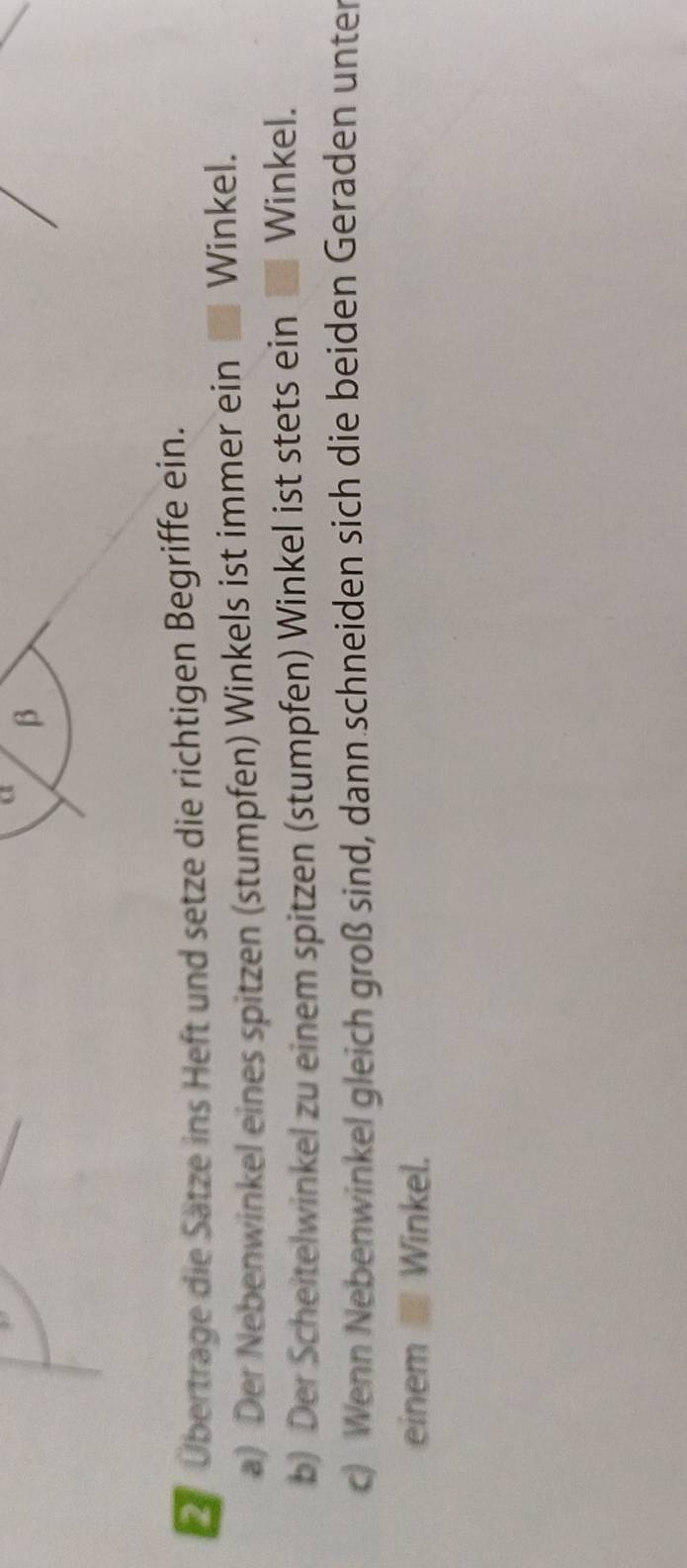 a β 
Übertrage die Sätze ins Heft und setze die richtigen Begriffe ein. 
a) Der Nebenwinkel eines spitzen (stumpfen) Winkels ist immer ein Winkel. 
b) Der Scheitelwinkel zu einem spitzen (stumpfen) Winkel ist stets ein Winkel. 
c) Wenn Nebenwinkel gleich groß sind, dann schneiden sich die beiden Geraden unter 
einem ■ Winkel.