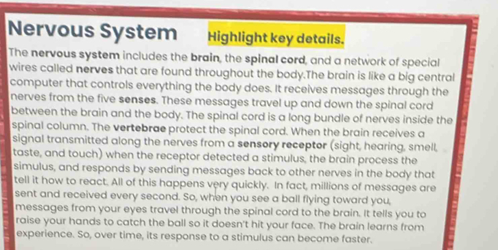 Nervous System Highlight key details. 
The nervous system includes the brain, the spinal cord, and a network of special 
wires called nerves that are found throughout the body.The brain is like a big central 
computer that controls everything the body does. It receives messages through the 
nerves from the five senses. These messages travel up and down the spinal cord 
between the brain and the body. The spinal cord is a long bundle of nerves inside the 
spinal column. The vertebrae protect the spinal cord. When the brain receives a 
signal transmitted along the nerves from a sensory receptor (sight, hearing, smell, 
taste, and touch) when the receptor detected a stimulus, the brain process the 
simulus, and responds by sending messages back to other nerves in the body that 
tell it how to react. All of this happens very quickly. In fact, millions of messages are 
sent and received every second. So, when you see a ball flying toward you, 
messages from your eyes travel through the spinal cord to the brain. It tells you to 
raise your hands to catch the ball so it doesn't hit your face. The brain learns from 
experience. So, over time, its response to a stimulus can become faster.