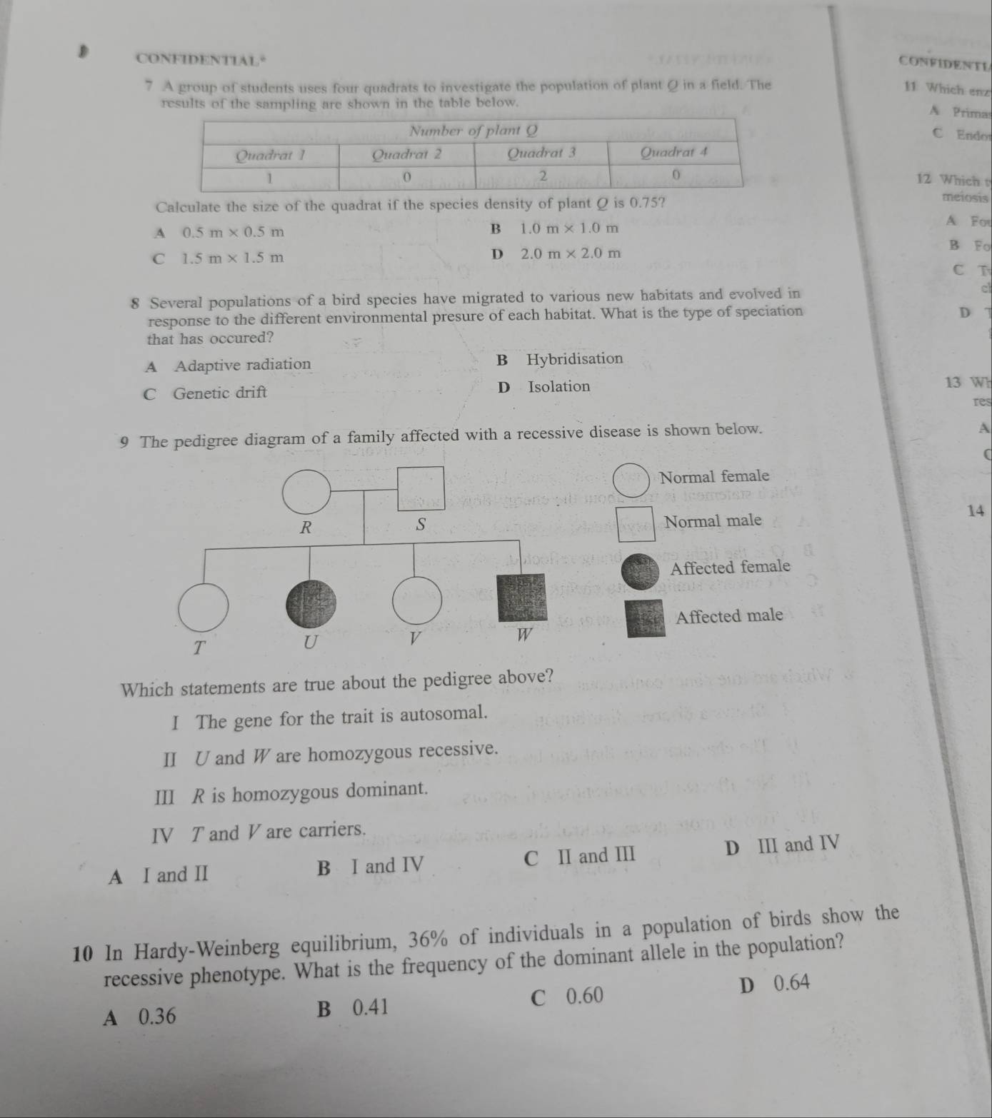 CONFIDENTIAL° CONFIDENTL
7 A group of students uses four quadrats to investigate the population of plant Q in a field. The 11: Which enz
results of the sampling are shown in the table below.
A Prima
C Endo
12 Which t
Calculate the size of the quadrat if the species density of plant Q is 0.75?
meiosis
A 0.5m* 0.5m
B 1.0m* 1.0m
A For
C 1.5m* 1.5m
D 2.0m* 2.0m
B Fo
C T
8 Several populations of a bird species have migrated to various new habitats and evolved in
c
response to the different environmental presure of each habitat. What is the type of speciation
D 1
that has occured?
A Adaptive radiation B Hybridisation
C Genetic drift D Isolation 13 Wh
res
9 The pedigree diagram of a family affected with a recessive disease is shown below.
A
Normal female
14
Normal male
Affected female
Affected male
Which statements are true about the pedigree above?
I The gene for the trait is autosomal.
I U and W are homozygous recessive.
III R is homozygous dominant.
IV T and V are carriers.
A I and I B I and IV C II and III D III and IV
10 In Hardy-Weinberg equilibrium, 36% of individuals in a population of birds show the
recessive phenotype. What is the frequency of the dominant allele in the population?
A 0.36 B 0.41 C 0.60 D 0.64