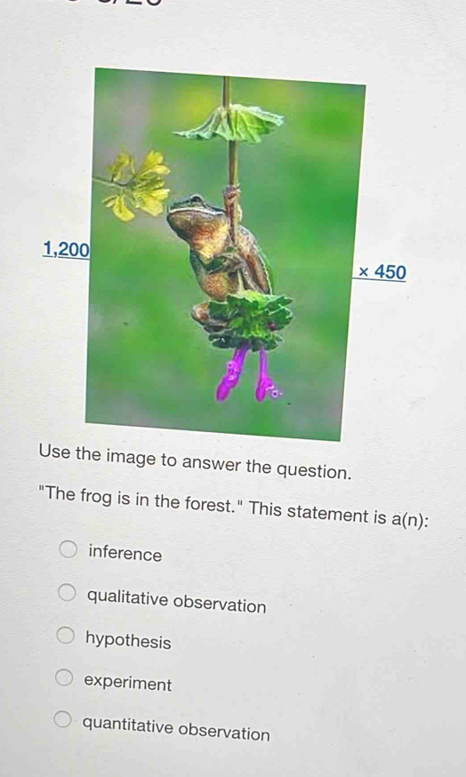 the image to answer the question.
"The frog is in the forest." This statement is a(n).
inference
qualitative observation
hypothesis
experiment
quantitative observation