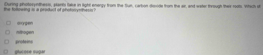 During photosynthesis, plants take in light energy from the Sun, carbon dioxide from the air, and water through their roots. Which of
the following is a product of photosynthesis?
oxygen
nitrogen
proteins
glucose sugar