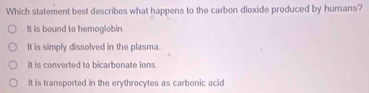 Which statement best describes what happens to the carbon dioxide produced by humans?
It is bound to hemoglobin
It is simply dissolved in the plasma.
It is converted to bicarbonate ions
It is transported in the erythrocytes as carbonic acid.