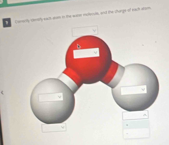 Corectly identify each atom in the water molecule, and the charge of each atom.