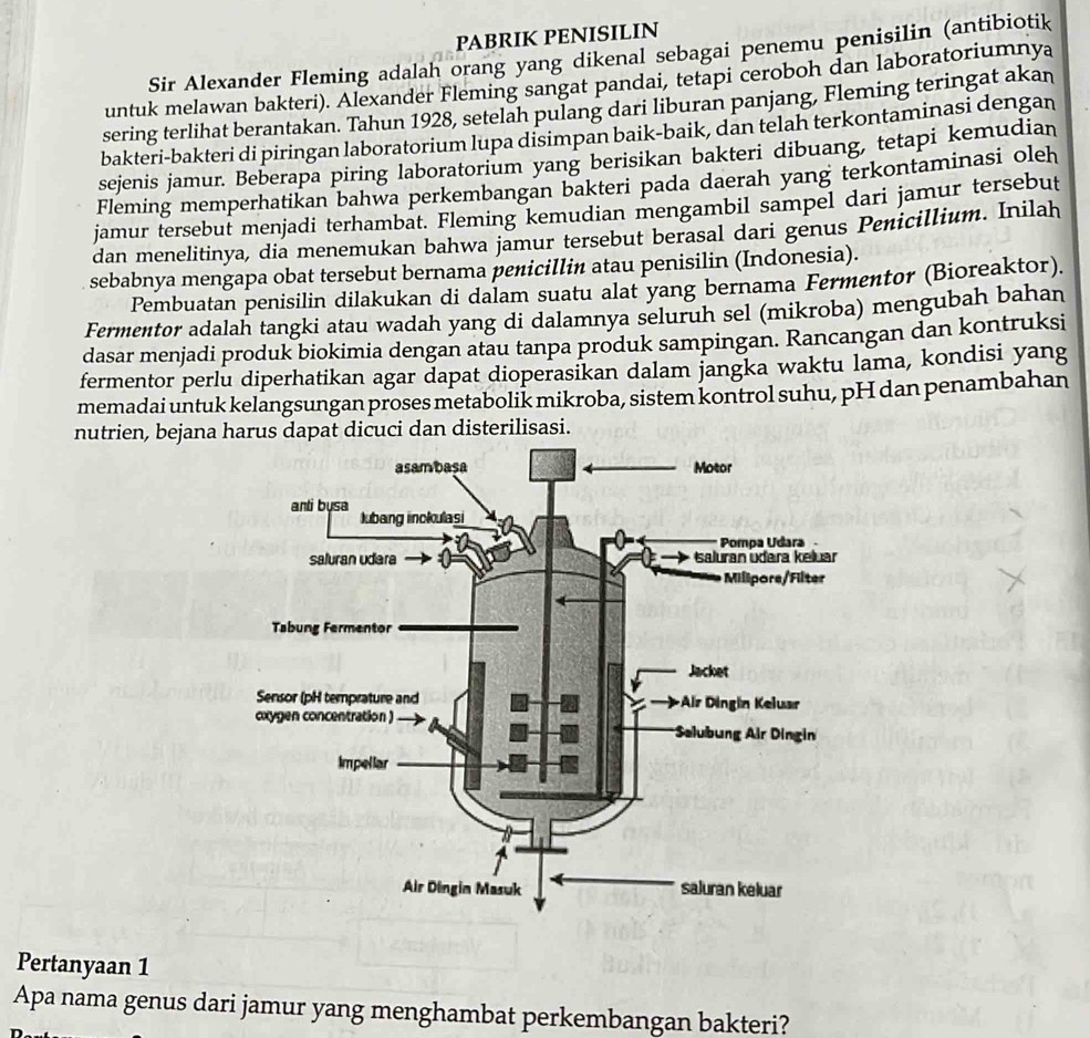 PABRIK PENISILIN 
Sir Alexander Fleming adalah orang yang dikenal sebagai penemu penisilin (antibiotik 
untuk melawan bakteri). Alexander Fleming sangat pandai, tetapi ceroboh dan laboratoriumnya 
sering terlihat berantakan. Tahun 1928, setelah pulang dari liburan panjang, Fleming teringat akan 
bakteri-bakteri di piringan laboratorium lupa disimpan baik-baik, dan telah terkontaminasi dengan 
sejenis jamur. Beberapa piring laboratorium yang berisikan bakteri dibuang, tetapi kemudian 
Fleming memperhatikan bahwa perkembangan bakteri pada daerah yang terkontaminasi oleh 
jamur tersebut menjadi terhambat. Fleming kemudian mengambil sampel dari jamur tersebut 
dan menelitinya, dia menemukan bahwa jamur tersebut berasal dari genus Penicillium. Inilah 
sebabnya mengapa obat tersebut bernama penicillin atau penisilin (Indonesia). 
Pembuatan penisilin dilakukan di dalam suatu alat yang bernama Fermentor (Bioreaktor). 
Fermentor adalah tangki atau wadah yang di dalamnya seluruh sel (mikroba) mengubah bahan 
dasar menjadi produk biokimia dengan atau tanpa produk sampingan. Rancangan dan kontruksi 
fermentor perlu diperhatikan agar dapat dioperasikan dalam jangka waktu lama, kondisi yang 
memadai untuk kelangsungan proses metabolik mikroba, sistem kontrol suhu, pH dan penambahan 
nutrien, bejana harus dapat dicuci dan disterilisasi. 
Pertanyaan 1 
Apa nama genus dari jamur yang menghambat perkembangan bakteri?