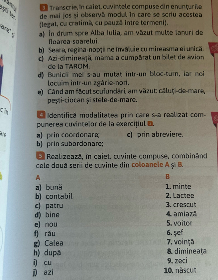 Vant 3 Transcrie, în caiet, cuvintele compuse din enunțurile
ști t
de mai jos și observă modul în care se scriu acestea
(legat, cu cratimă, cu pauză între termeni).
are a) În drum spre Alba Iulia, am văzut multe lanuri de
floarea-soarelui.
b) Seara, regina-nopţii ne învăluie cu mireasma ei unică.
c) Azi-dimineaţă, mama a cumpărat un bilet de avion
de la TAROM.
d) Bunicii mei s-au mutat într-un bloc-turn, iar noi
locuim într-un zgârie-nori.
e) Când am făcut scufundări, am văzut: căluți-de-mare,
pești-ciocan și stele-de-mare.
cin
* Identifică modalitatea prin care s-a realizat com-
punerea cuvintelor de la exercițiul D.
are a) prin coordonare; c) prin abreviere.
b) prin subordonare;
5 Realizează, în caiet, cuvinte compuse, combinând
cele două serii de cuvinte din coloanele A şi B.
A
B
a) bună 1. minte
b) contabil 2. Lactee
c) patru 3. crescut
d) bine 4. amiază
e) nou 5. voitor
f) rǎu 6. şef
g) Calea 7. voință
h) după
8. dimineaţa
i cu 9. zeci
j) azi 10. născut