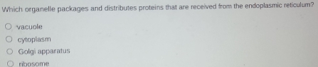 Which organelle packages and distributes proteins that are received from the endoplasmic reticulum?
vacuole
cytoplasm
Golgi apparatus
ribosome