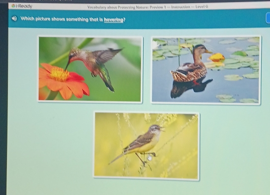 Ready Vocabulary about Protecting Nature: Preview 1 — Instruction — Level G 
Which picture shows something that is hovering?