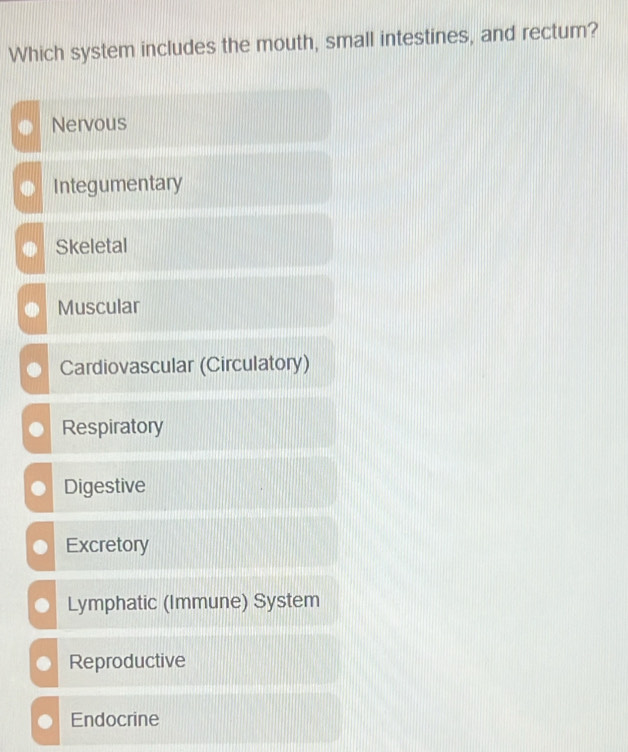 Which system includes the mouth, small intestines, and rectum?
Nervous
Integumentary
Skeletal
Muscular
Cardiovascular (Circulatory)
Respiratory
Digestive
Excretory
Lymphatic (Immune) System
Reproductive
Endocrine