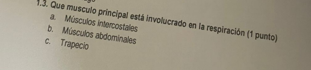 Que musculo principal está involucrado en la respiración (1 punto)
a. Músculos intercostales
b. Músculos abdominales
c. Trapecio