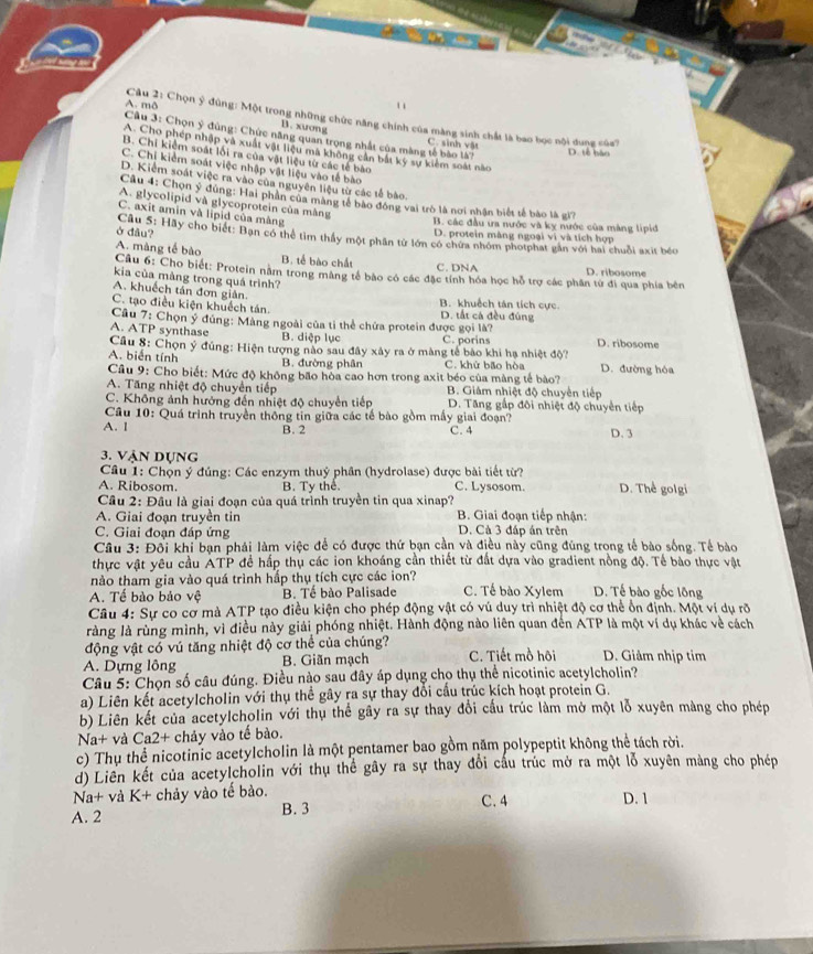 A. mô  Cu 2: Chọn ý đúng: Một trong những chức năng chính của màng sinh chất là bao bọc nội dung của?
B. xương
Cầu 3: Chọn ý đùng: Chức năng quan trọng nhất của màng tế bào là? C. sinh vật D. tế bào
A. Cho phép nhập và xuất vật liệu mã không cần bắt kỹ sự kiểm soát nào
B. Chi kiểm soát lối ra của vật liệu từ các tế bào
C. Chị kiểm soát việc nhập vật liệu vào tế bào
D. Kiểm soát việc ra vào của nguyên liệu từ các tế bào.
Cu 4: Chọn ý đùng: Hai phần của màng tế bào đóng vai trò là nơi nhận biết tế bào là gi?
A. glycolipid và glycoprotein của màng
C. axit amin và lipid của màng
B. các đầu ưa nước và kỵ nước của màng lipid
D. protein màng ngoại vi và tích hợp
ở đầu?  Câu 5: Hãy cho biết: Bạn có thể tìm thầy một phần tử lớn có chứa nhóm photphát gần với hai chuỗi axit béo
A. màng tế bào B. tế bào chất
C. DNA
Cầu 6: Cho biết: Protein năm trong màng tế bào có các đặc tính hóa học hỗ trợ các phân từ đi qua phía bên D. ribosome
kia của màng trong quá trình?
A. khuếch tán đơn giản
C. tạo điều kiện khuếch tán. B. khuếch tán tích cực D. tắt cả đều đúng
Câu 7: Chọn ý đủng: Màng ngoài của tỉ thể chứa protein được gọi là?
A. ATP synthase B. diệp lục C. porins D. ribosome
Cầu 8: Chọn ý đúng: Hiện tượng nào sau đây xây ra ở màng tế bào khi hạ nhiệt độ
A. biến tính B. đường phân C. khử bão hòa D. đường hóa
Câu 9: Cho biết: Mức độ không bão hòa cao hơn trong axit béo của màng tế bào?
A. Tăng nhiệt độ chuyển tiếp B. Giảm nhiệt độ chuyển tiếp
C. Không ảnh hướng đến nhiệt độ chuyển tiếp D. Tăng gấp đôi nhiệt độ chuyên tiếp
Cầu 10: Quá trình truyền thông tin giữa các tế bào gồm mấy giai đoạn?
A. l D. 3
B. 2 C. 4
3. Vận dựng
Câu 1: Chọn ý đúng: Các enzym thuý phân (hydrolase) được bài tiết từ?
A. Ribosom. B. Ty thể C. Lysosom. D. Thể golgi
Cầu 2: Đầu là giai đoạn của quá trình truyền tin qua xinap?
A. Giai đoạn truyền tin  B. Giai đoạn tiếp nhận:
C. Giai đoạn đáp ứng D. Cả 3 đáp án trên
Câu 3: Đội khi bạn phái làm việc để có được thứ bạn cần và điều này cũng đùng trong tế bào sống. Tề bào
thực vật yêu cầu ATP đề hấp thụ các ion khoáng cần thiết từ đất dựa vào gradient nồng độ. Tế bào thực vật
nào tham gia vào quá trình hắp thụ tích cực các ion? C. Tế bào Xylem D. Tế bào gốc lông
A. Tế bào bảo vệ B. Tế bào Palisade
Câu 4: Sự co cơ mà ATP tạo điều kiện cho phép động vật có vú duy trì nhiệt độ cơ thể ổn định. Một ví dụ rõ
ràng là rùng mình, vì điều này giải phóng nhiệt. Hành động nào liên quan đến ATP là một ví dụ khác về cách
động vật có vú tăng nhiệt độ cơ thể của chúng?
A. Dựng lông B. Giãn mạch C. Tiết mồ hôi D. Giảm nhịp tim
Câu 5: Chọn số câu đúng. Điều nào sau đây áp dụng cho thụ thể nicotinic acetylcholin?
a) Liên kết acetylcholin với thụ thể gây ra sự thay đổi cấu trúc kích hoạt protein G.
b) Liên kết của acetylcholin với thụ thể gây ra sự thay đổi cầu trúc làm mở một lỗ xuyên màng cho phép
Na^ - và Ca2+ chảy vào tế bào.
c) Thụ thể nicotinic acetylcholin là một pentamer bao gồm năm polypeptit không thể tách rời.
d) Liền kết của acetylcholin với thụ thể gây ra sự thay đổi cầu trúc mở ra một lỗ xuyên màng cho phép
Na+ và K+ chảy vào tế bào. C. 4 D. 1
A. 2 B. 3