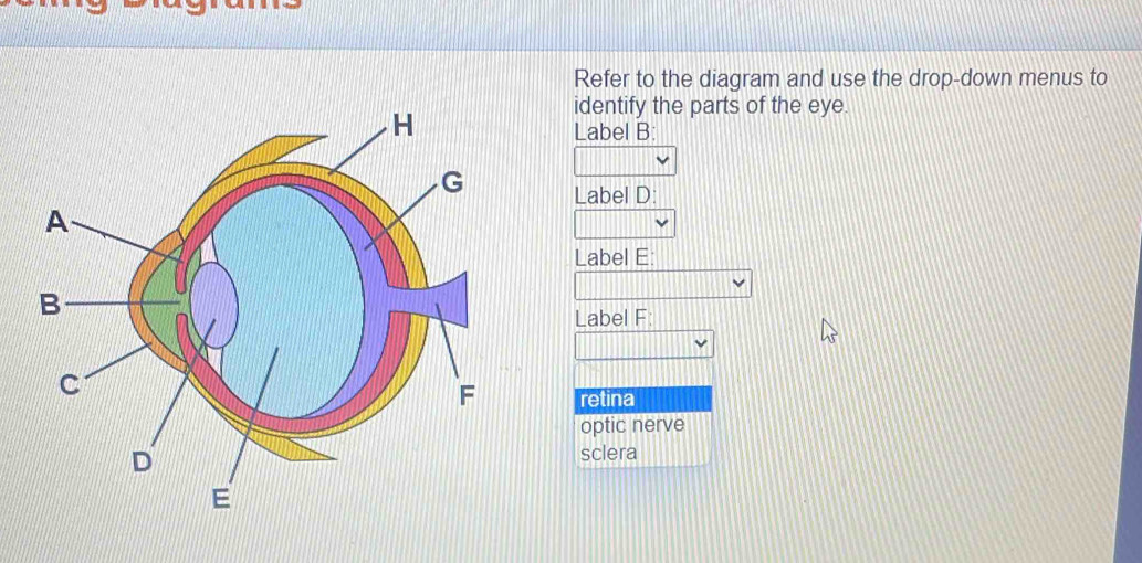 Solved: Refer to the diagram and use the drop-down menus to identify ...