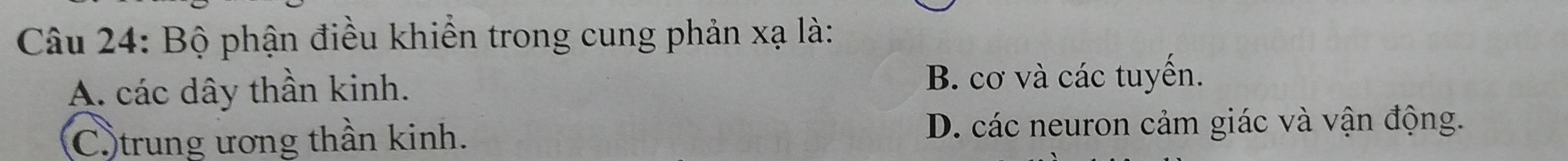 Bộ phận điều khiển trong cung phản xạ là:
A. các dây thần kinh.
B. cơ và các tuyển.
Cotrung ương thần kinh. D. các neuron cảm giác và vận động.